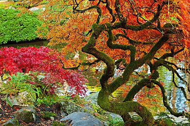 《夏娃计划》新高清截图 性感妹子美艳动人