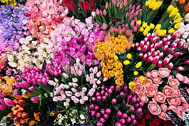 《太吾绘卷》9月中旬更新预告 新增两个地区短剧情